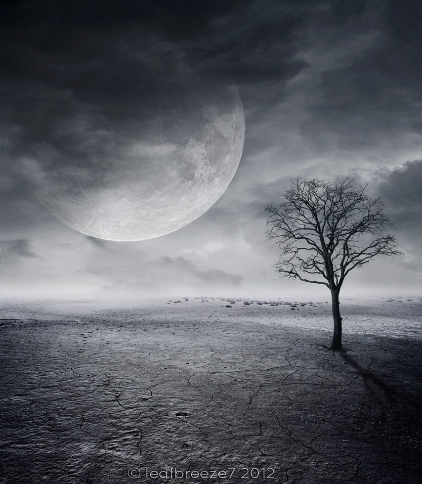 Touching the Emptiness The Magical World of G. Michael Vasey