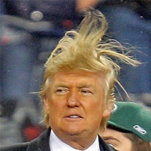 donald-trump-hair2-300x300.png